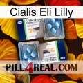 Cialis Eli Lilly viagra5
